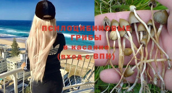 прущая мука Саяногорск