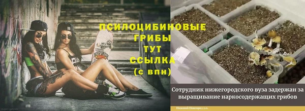 прущая мука Саяногорск