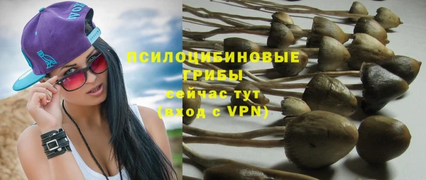 герыч Кропоткин