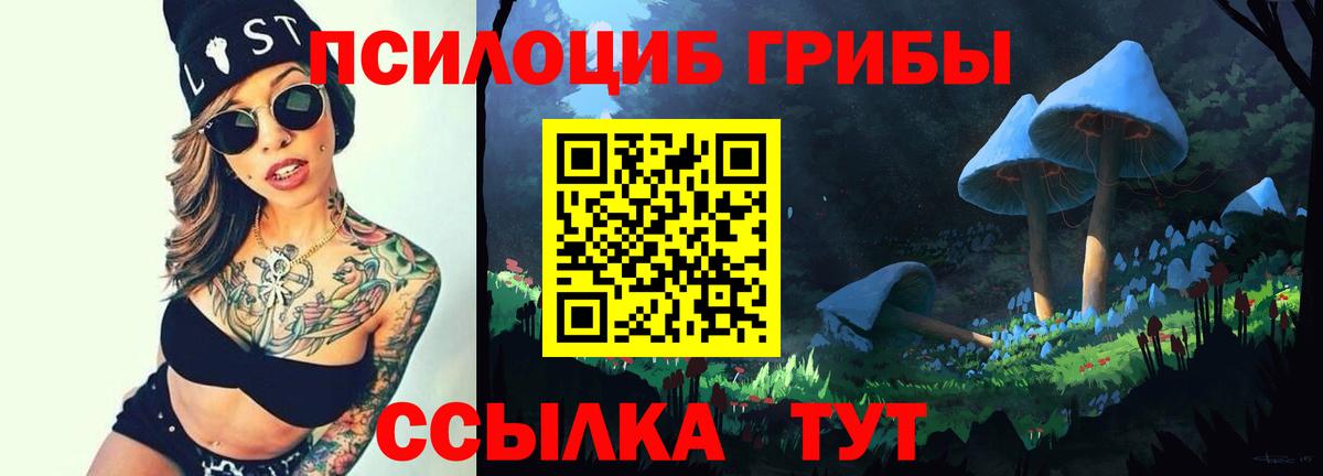 Псилоцибиновые грибы GOLDEN TEACHER Ярославль